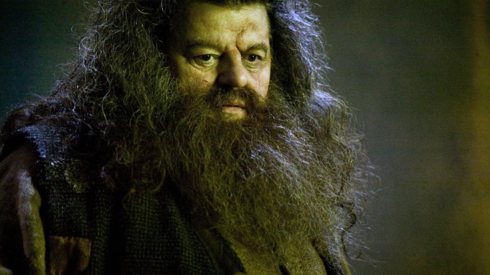 Rubeus Hagrid